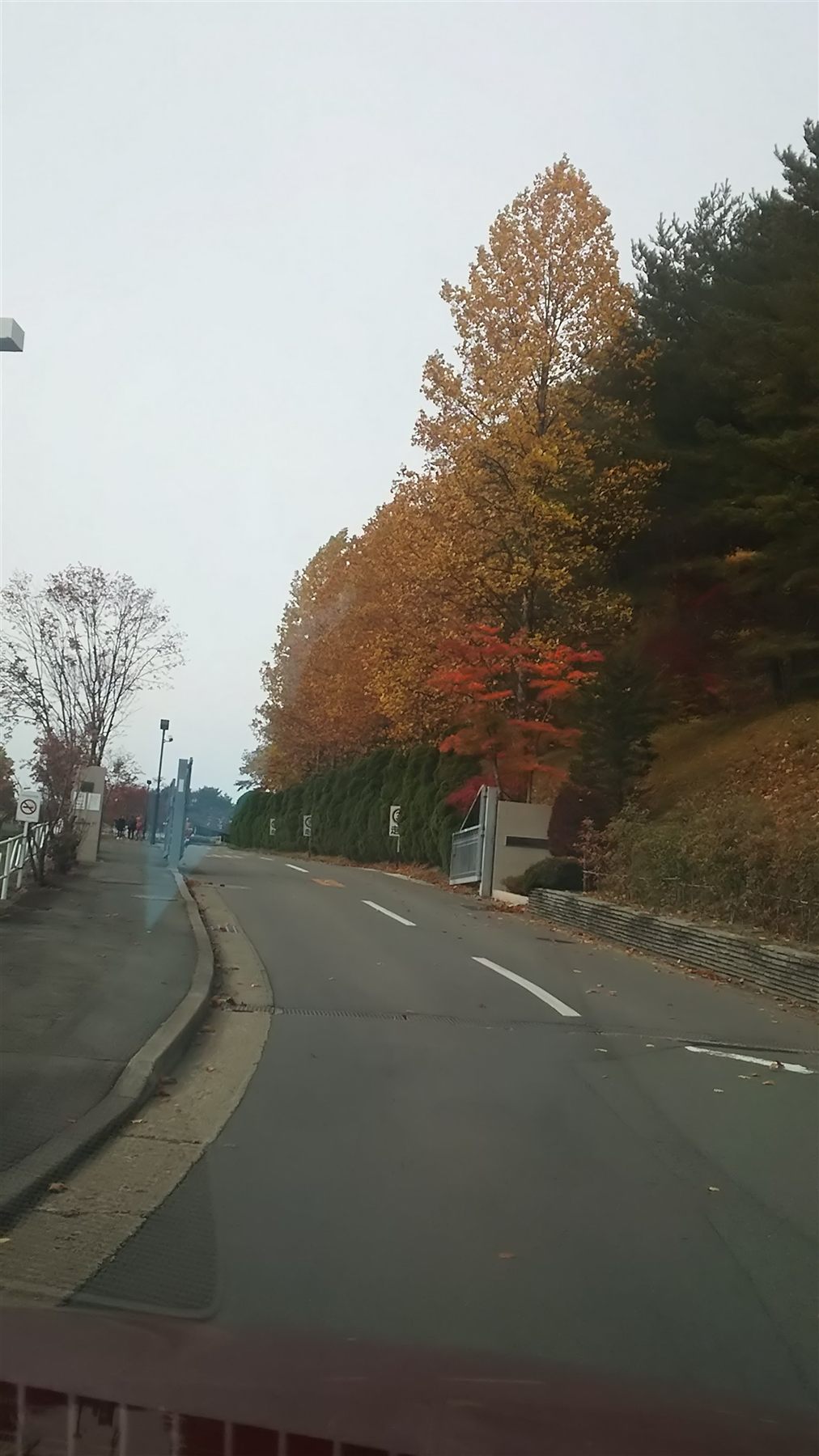 秋の学園坂道