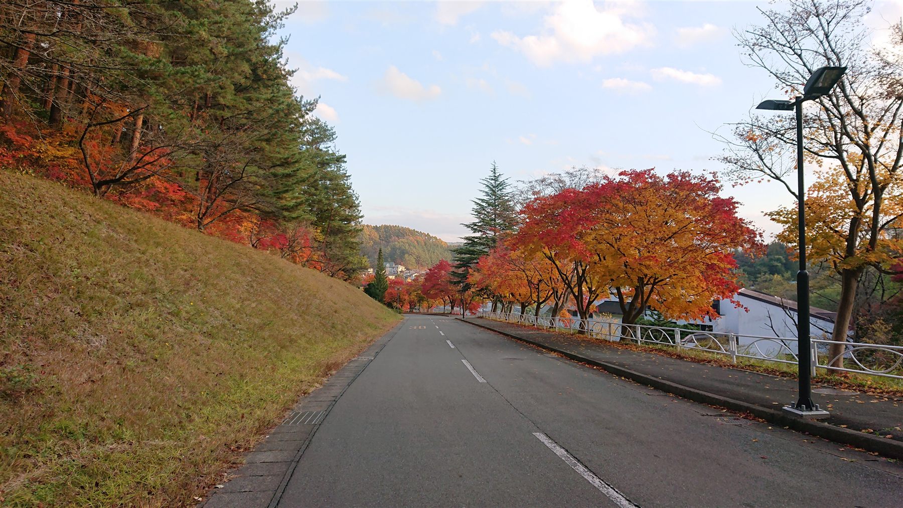 秋色の坂道