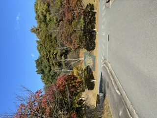 山岸キャンパスの秋景色